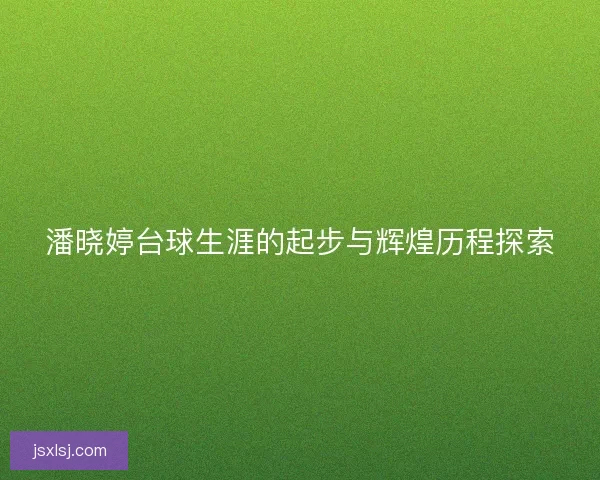 潘晓婷台球生涯的起步与辉煌历程探索