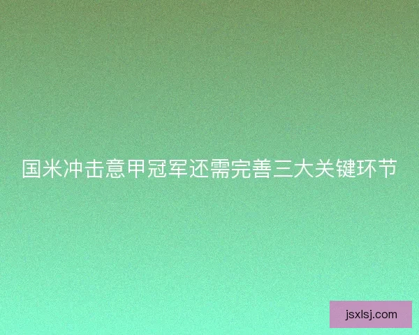 国米冲击意甲冠军还需完善三大关键环节 国米冲击意甲冠军还需完善三大关键环节